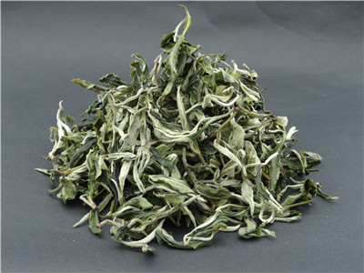 白毫牡丹